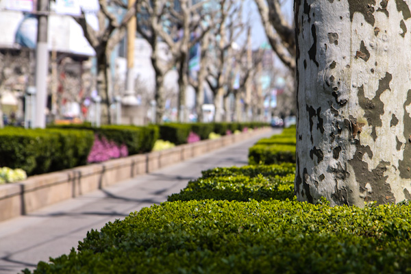 nanjinglu